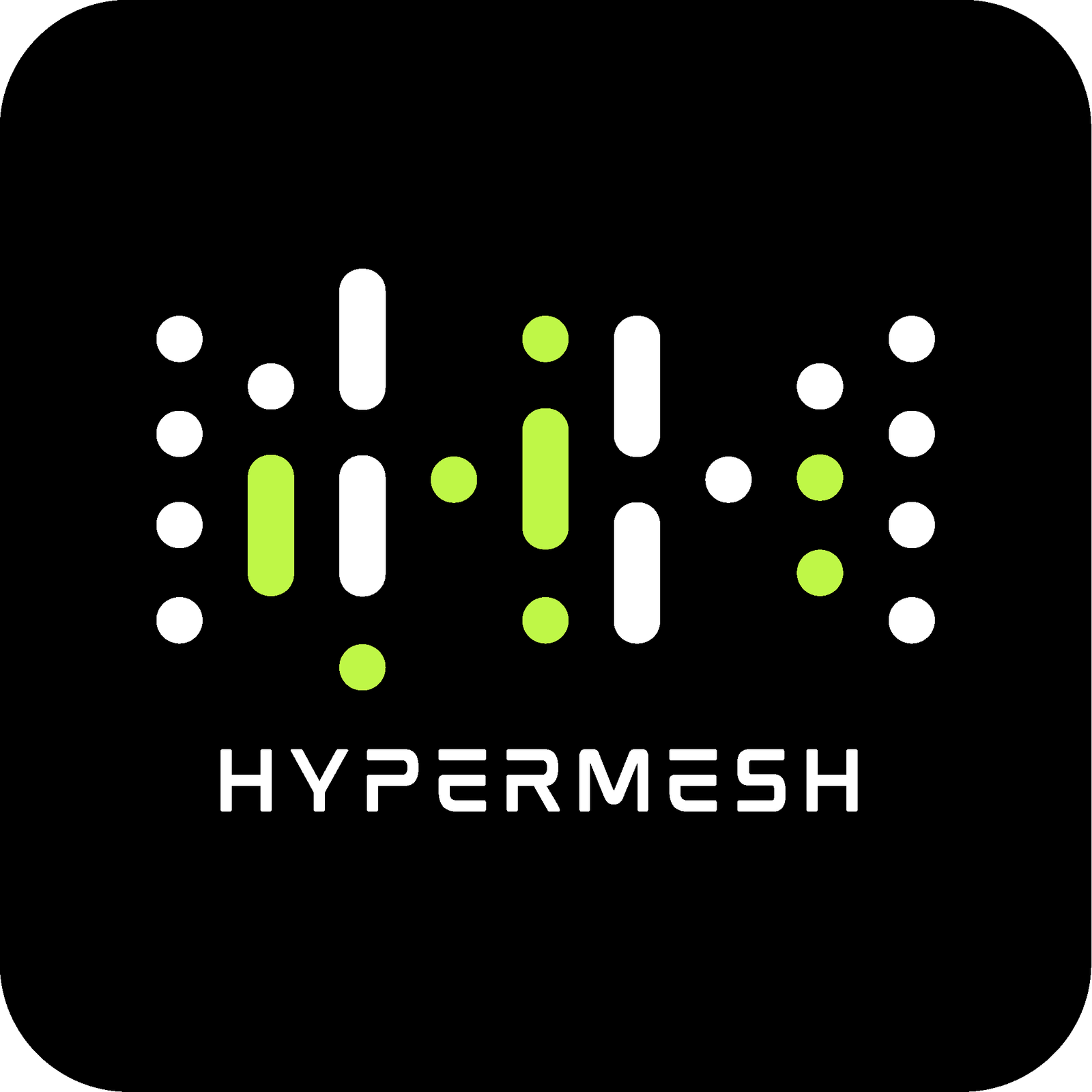 HyperMesh